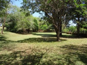 Tatco B&B by Shimoni - grounds