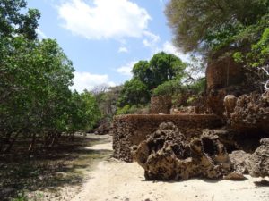 Tatco B&B by Shimoni - low tide